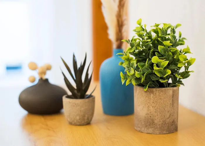 Mirador 1st Line Boliches