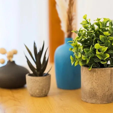 Mirador 1st Line Boliches